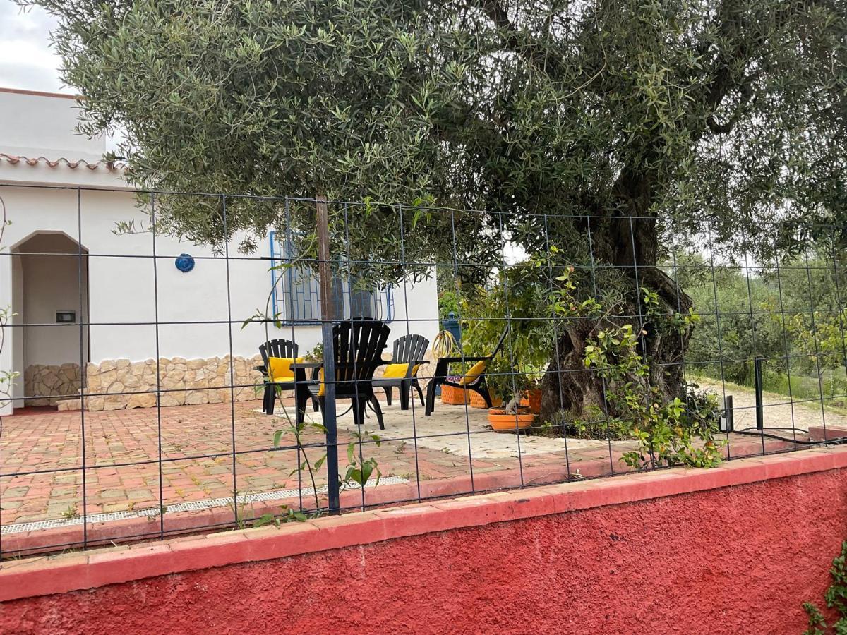 Domo Mea Villa Cardedu Dış mekan fotoğraf